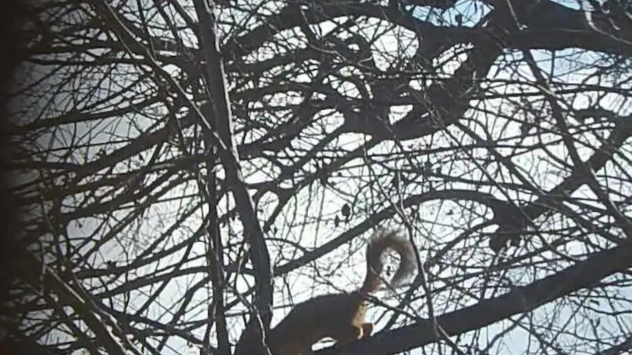 Photo of Others in Ashville