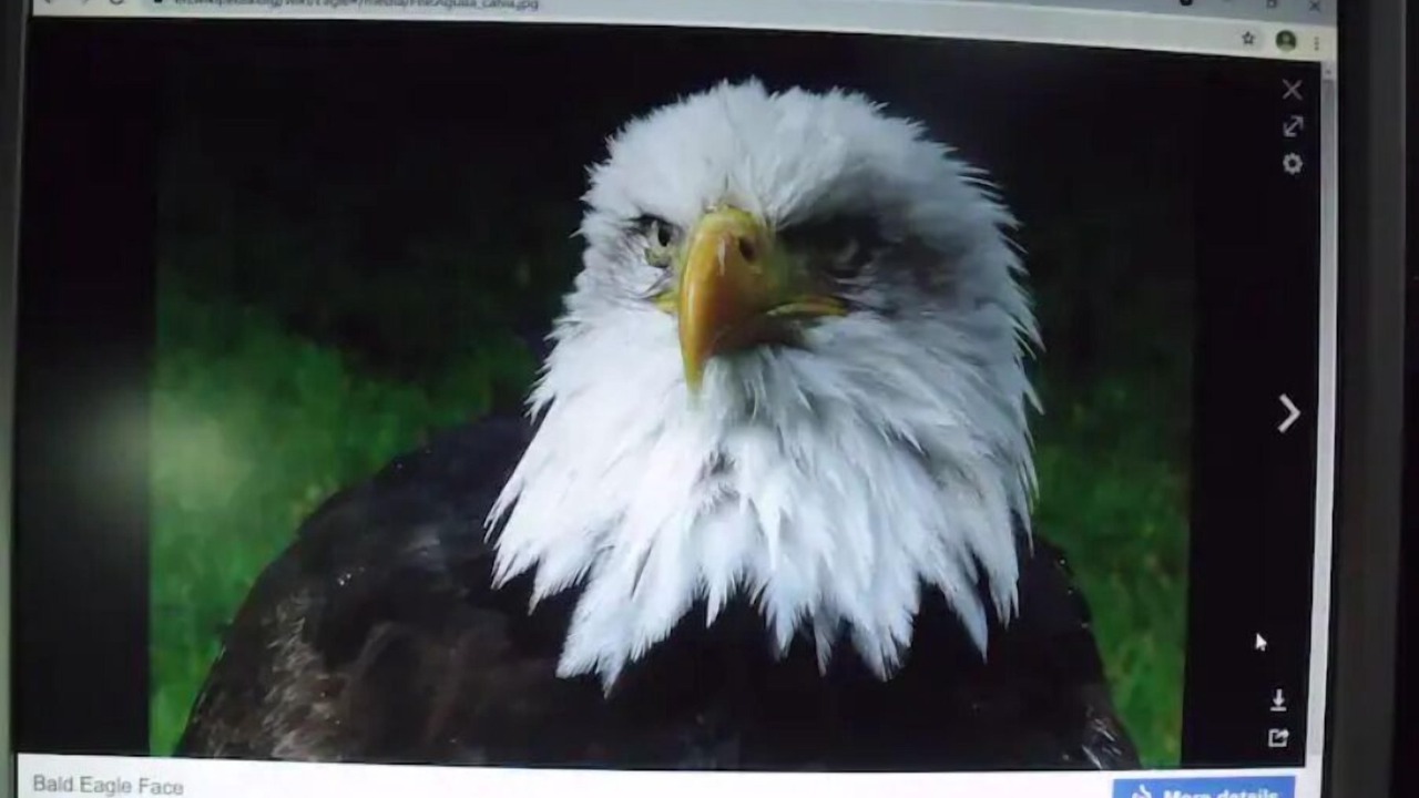 Photo of Outdoor in Ashville