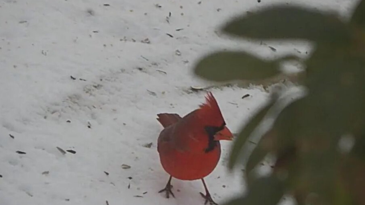 Photo of Others in Ashville