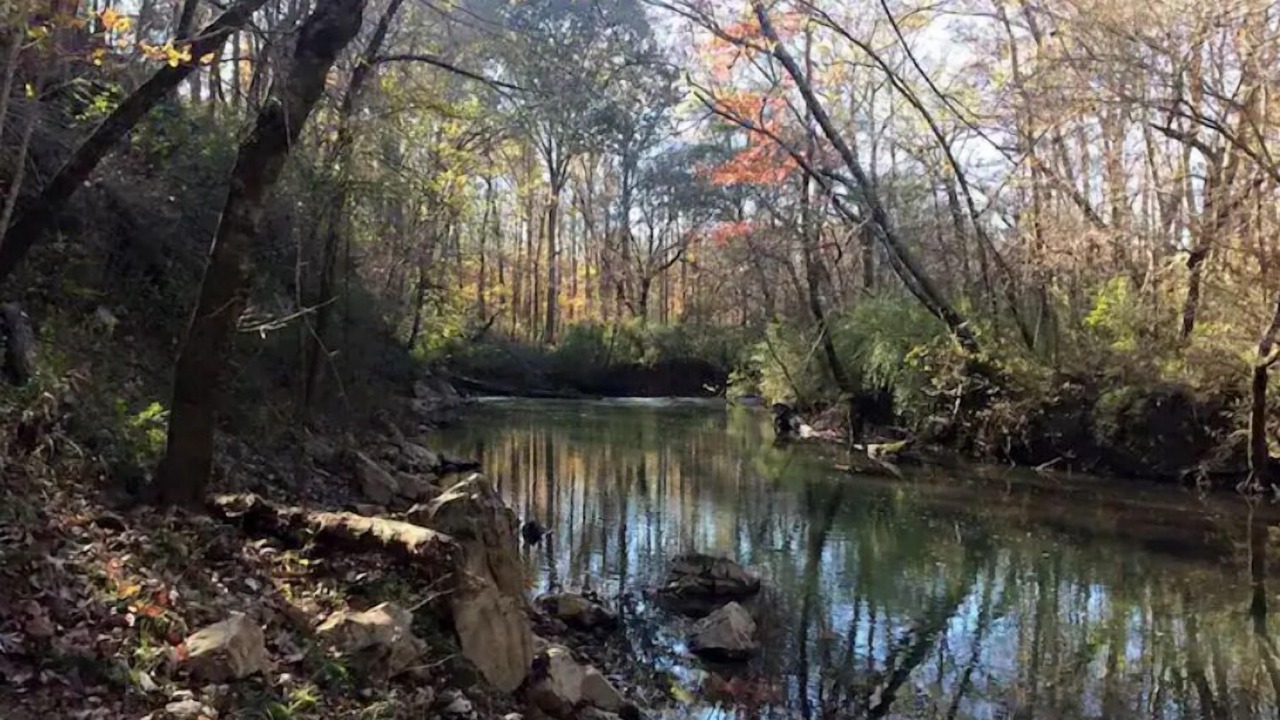 Photo of Outdoor in Ashville