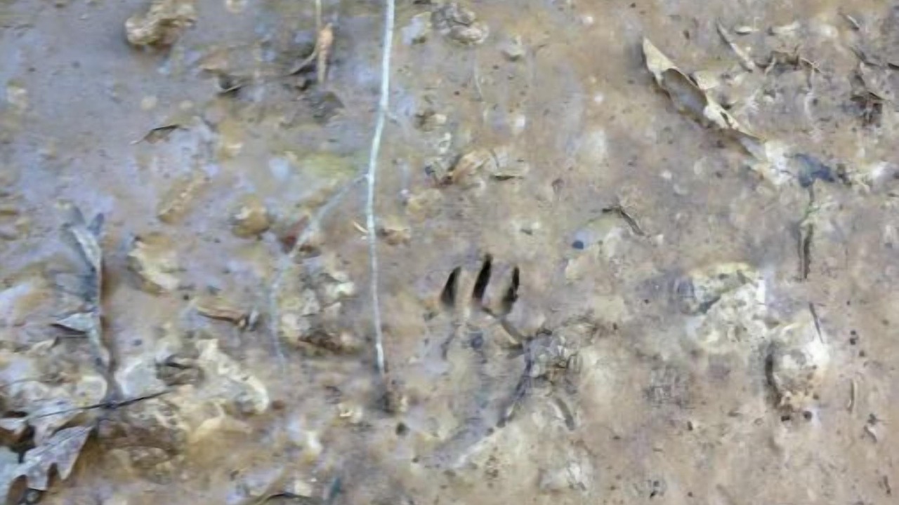 Photo of Bathroom in Ashville