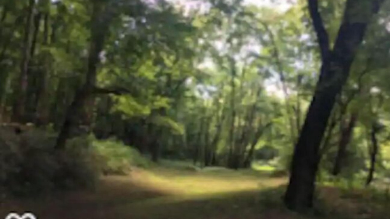 Photo of Others in Ashville