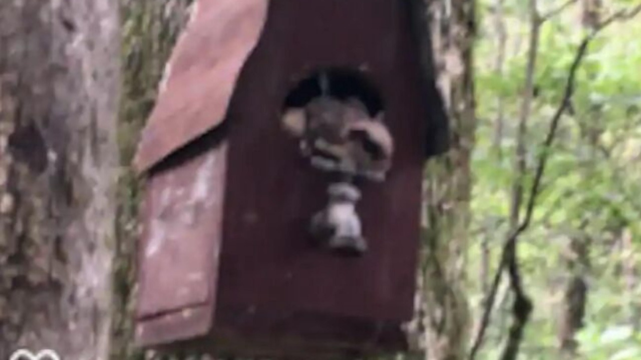 Photo of Others in Ashville