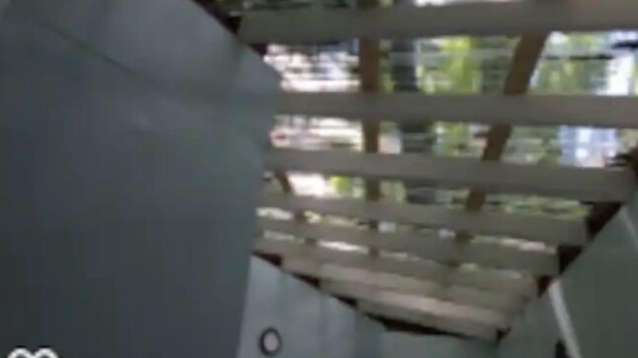 Photo of Others in Ashville