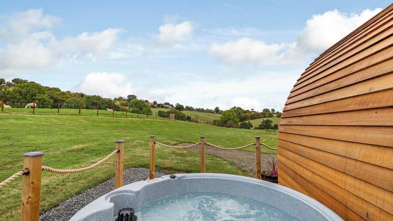 Photo of Others in Welshpool