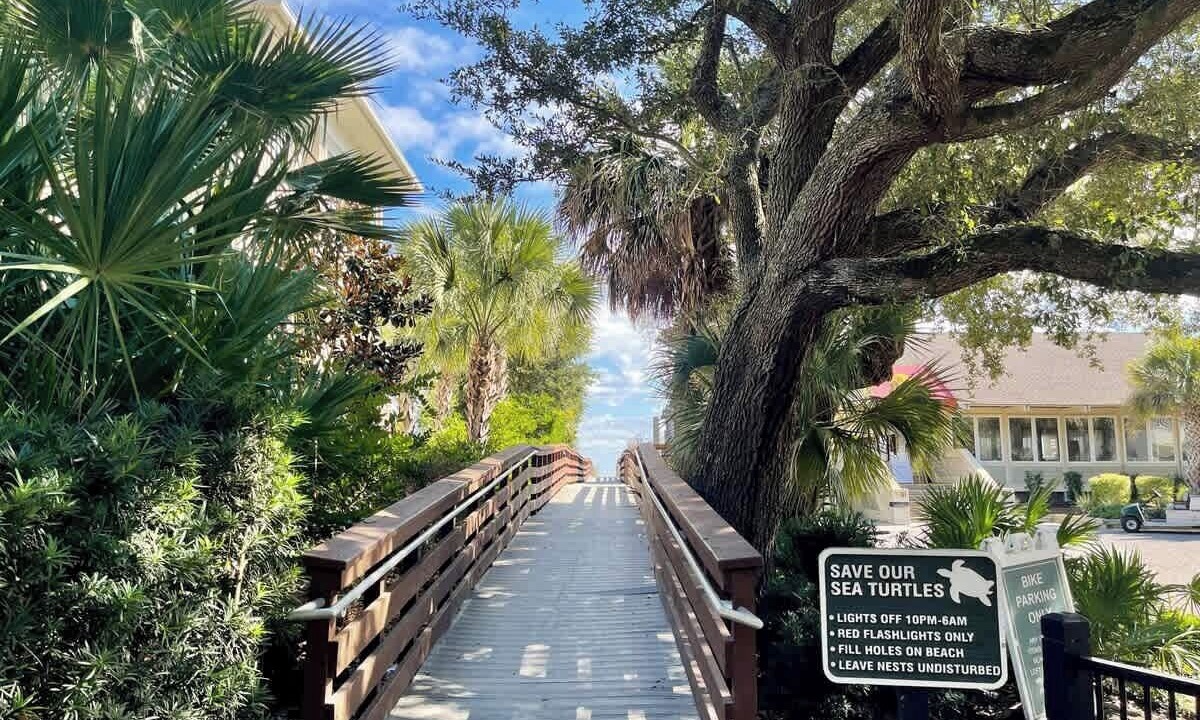 Photo of Others in Palmetto Dunes