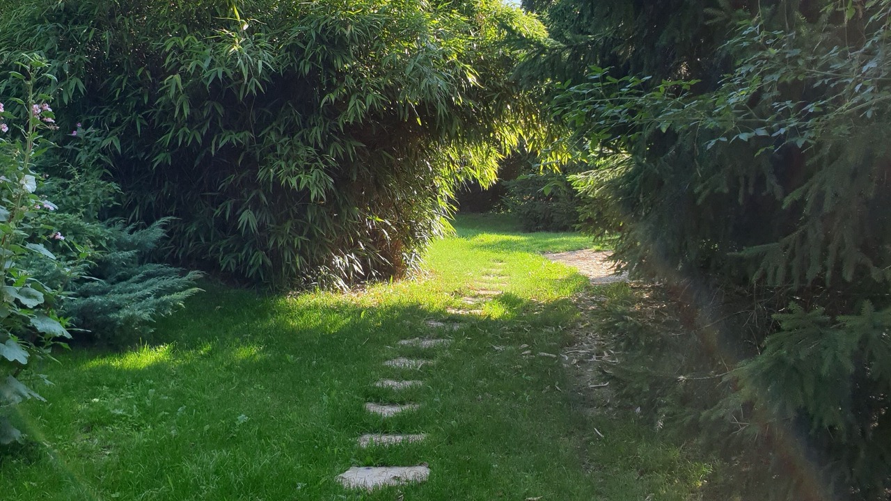 Photo of Outdoor in Montherme