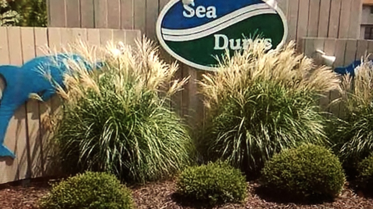 Photo of Outdoor in Kitty Hawk