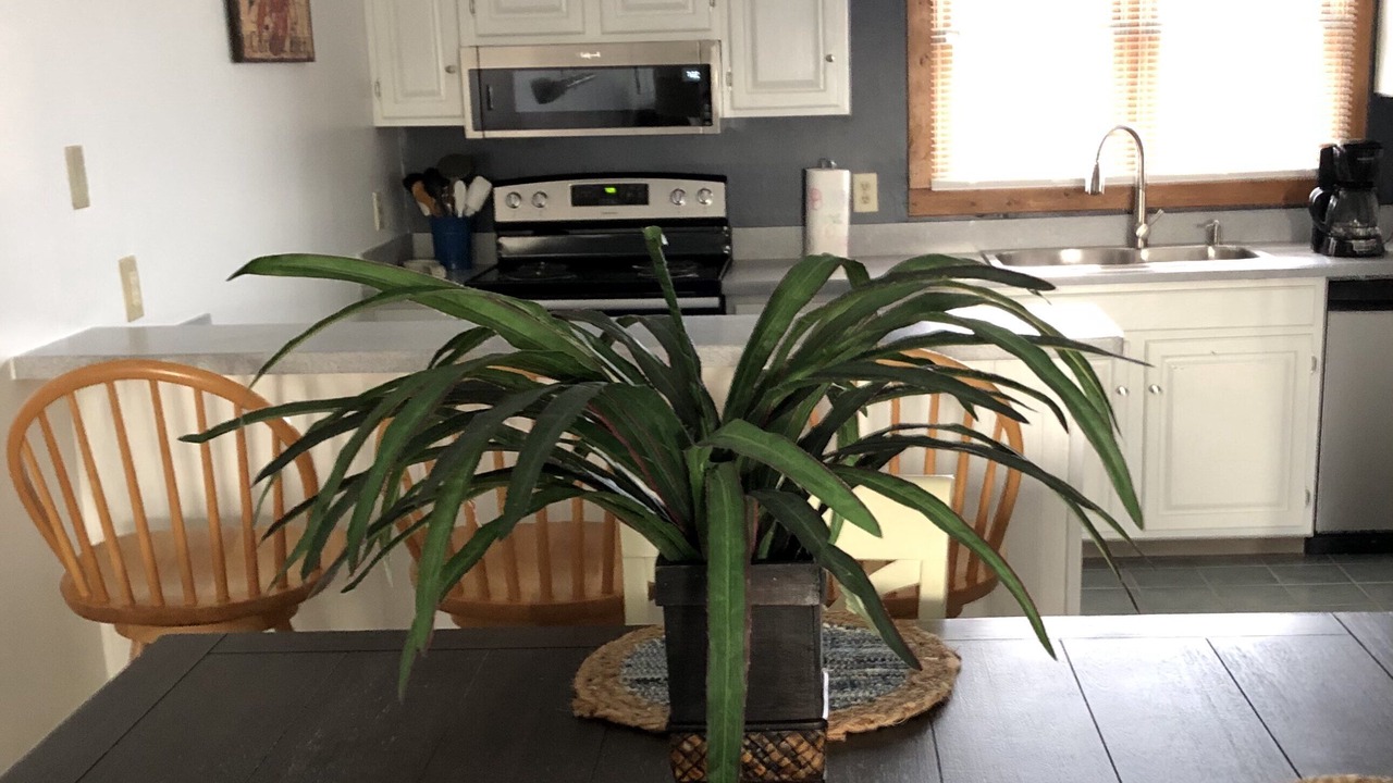 Photo of Kitchen in Kitty Hawk