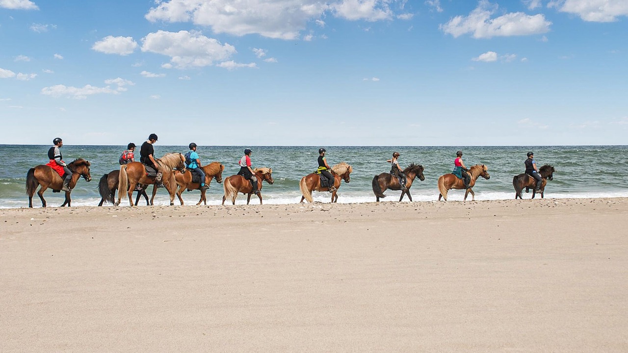 Photo of Others in Hanstholm