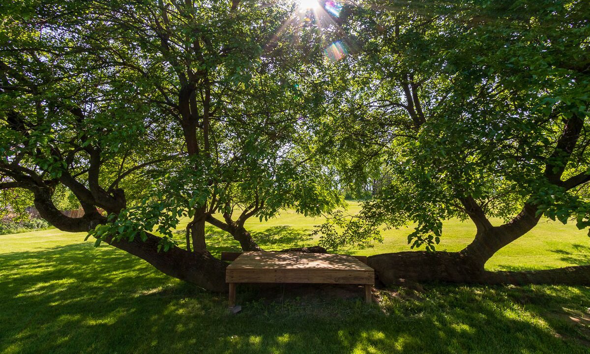 Photo of Outdoor in Catskill