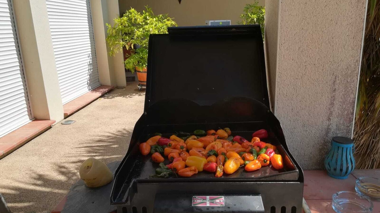 Photo of Outdoor in Mervilla