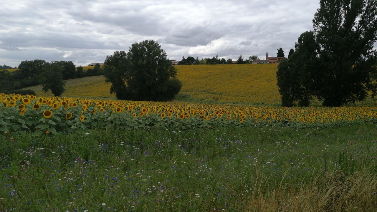 Photo of Outdoor in Mervilla
