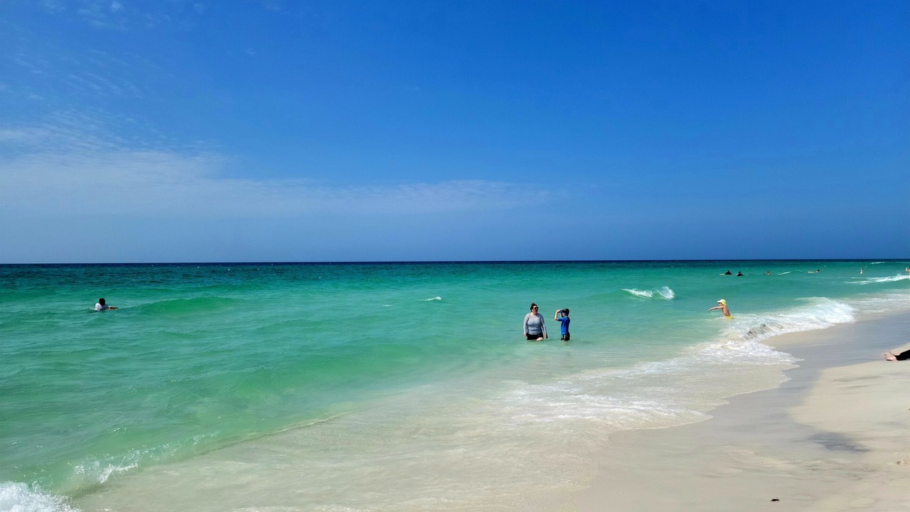 Photo of Others in Pensacola
