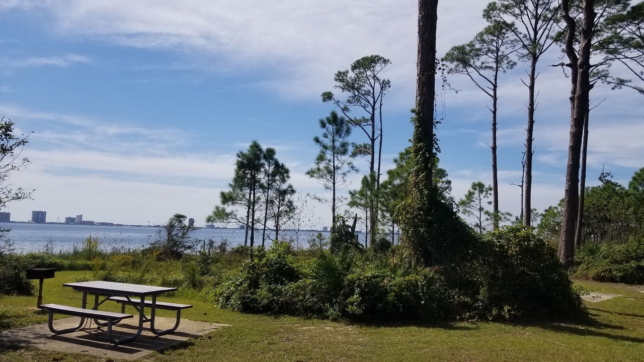 Photo of Others in Pensacola
