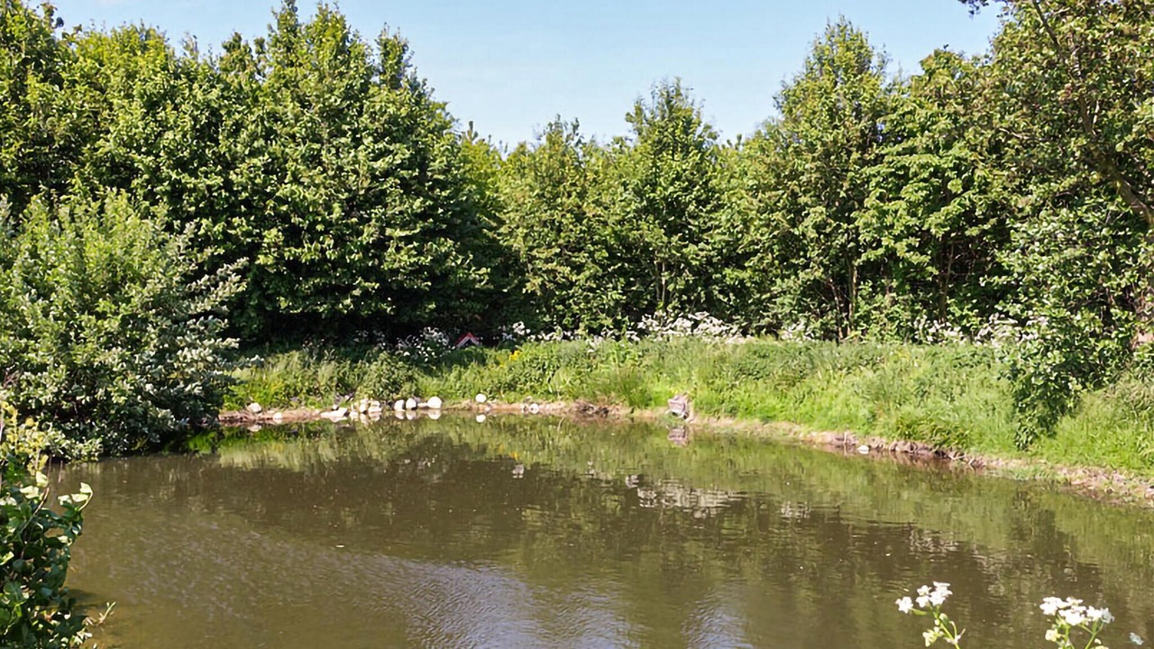Photo of Others in Hasle