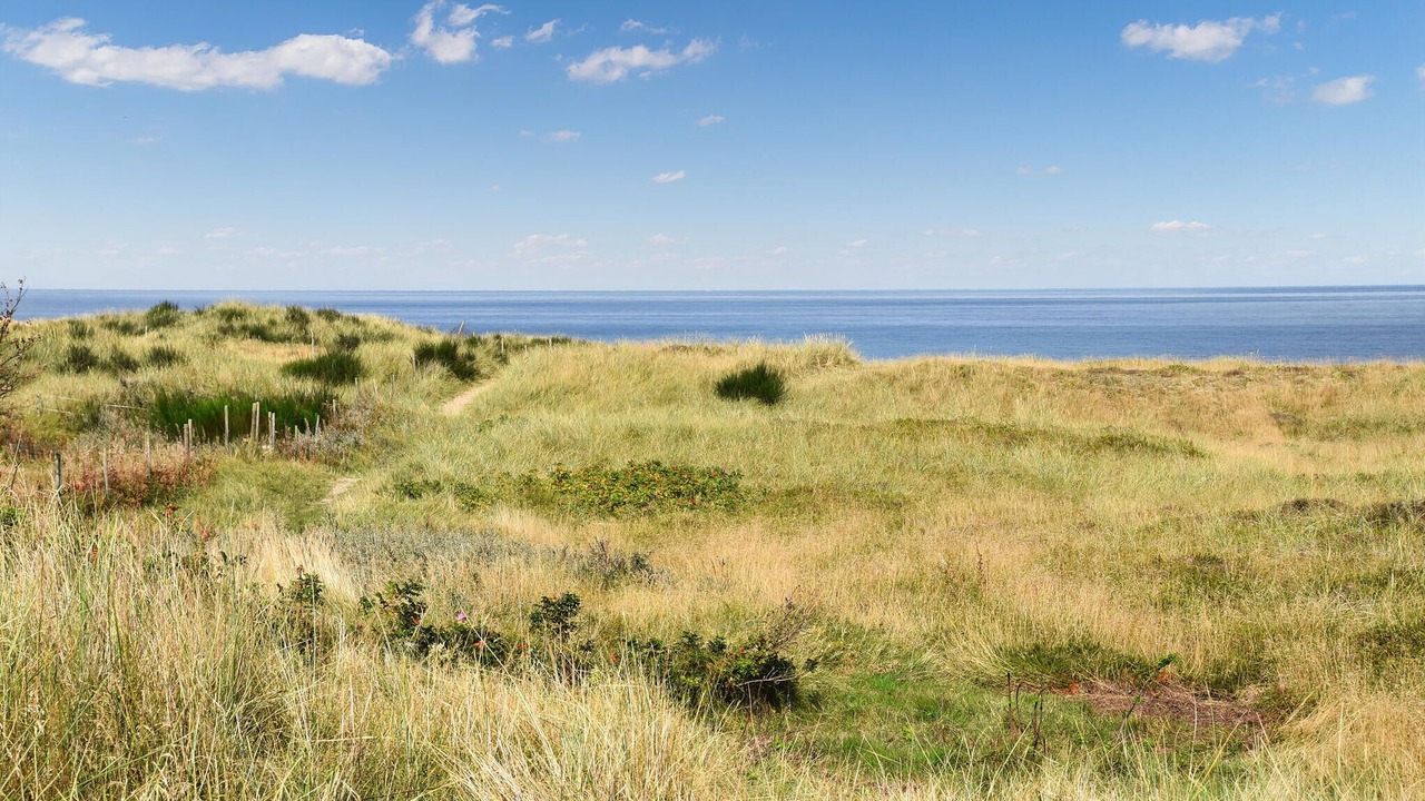 Photo of Others in Hanstholm