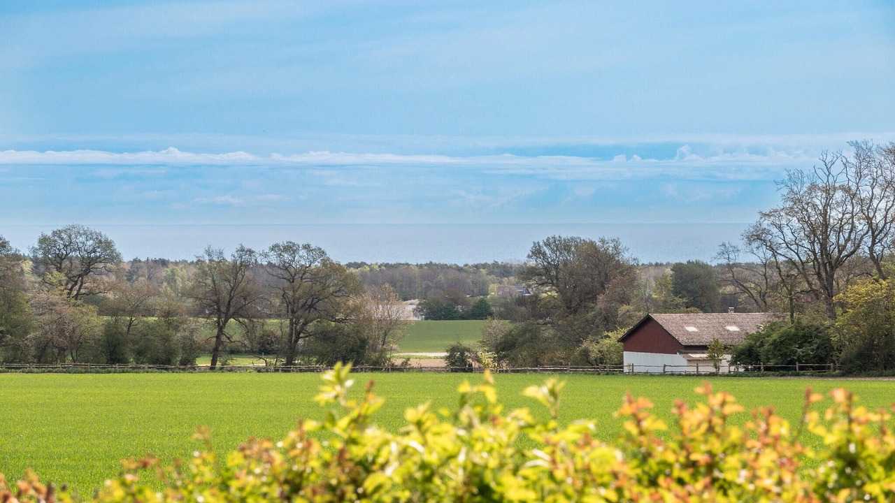 Photo of Others in Nexo