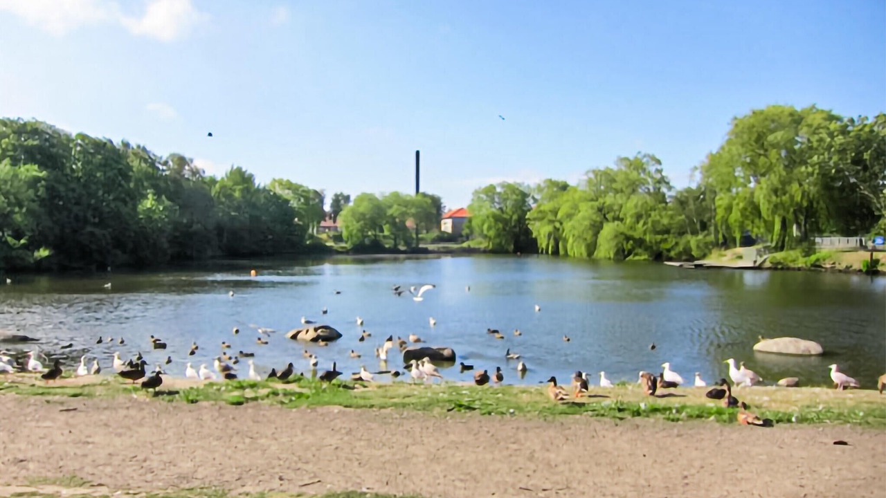 Photo of Others in Ronne