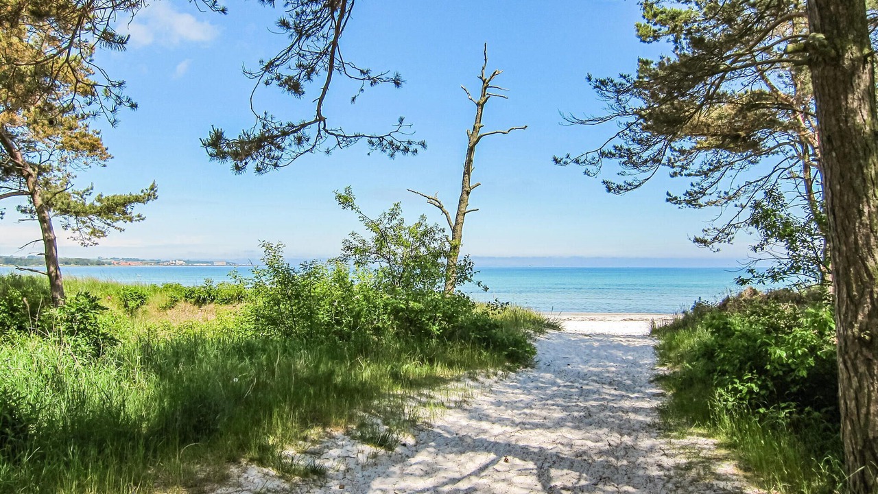 Photo of Others in Balka Strand