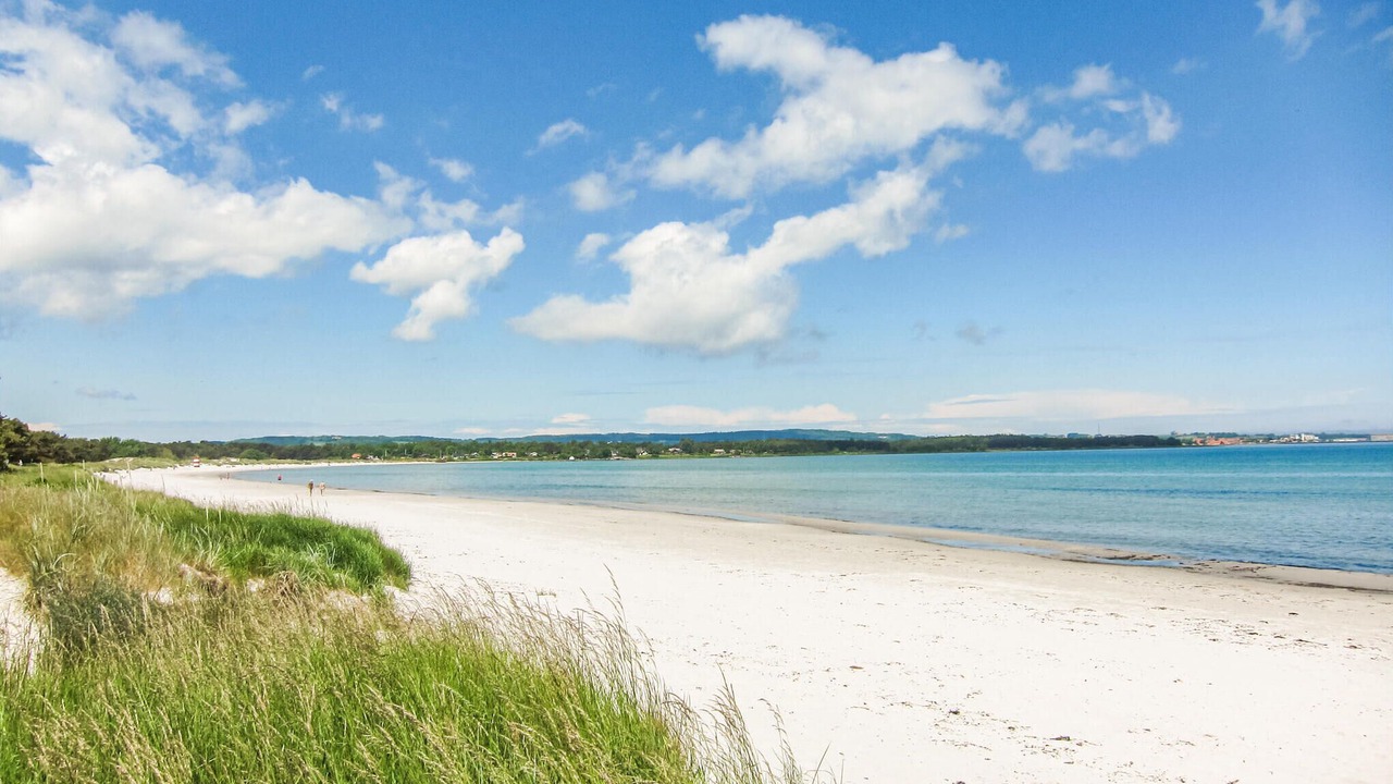 Photo of Others in Balka Strand
