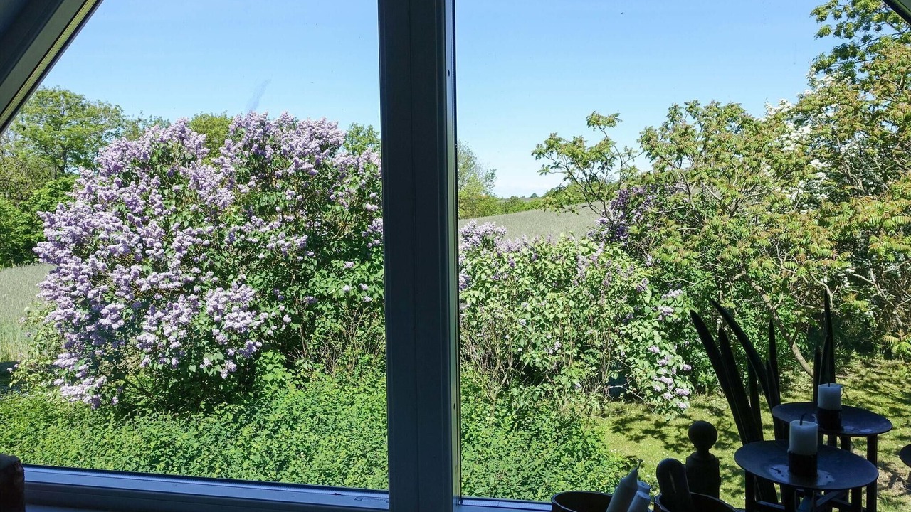 Photo of Bedroom in Rutsker