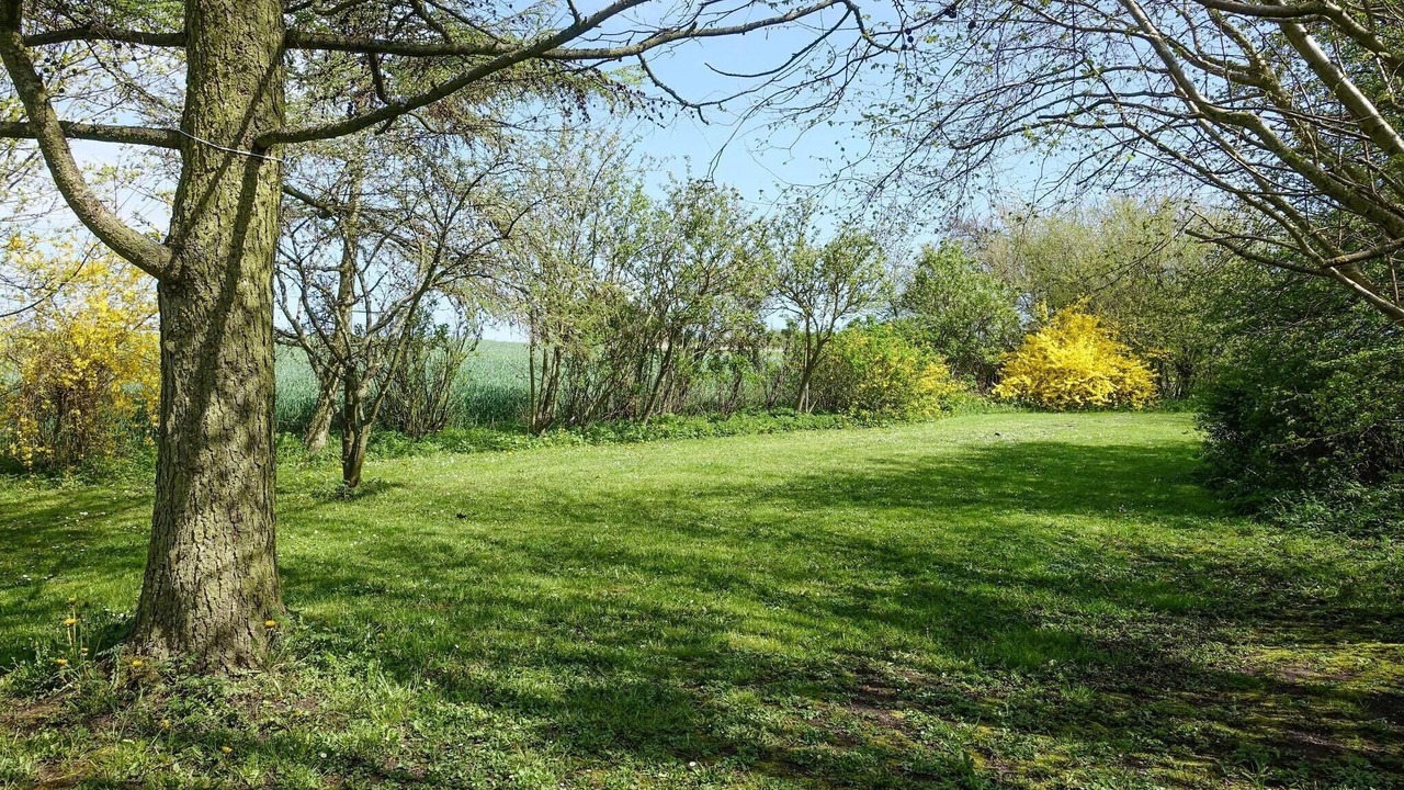 Photo of Others in Rutsker