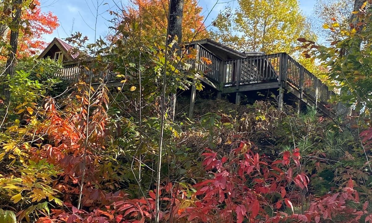Photo of Outdoor in Elk Park