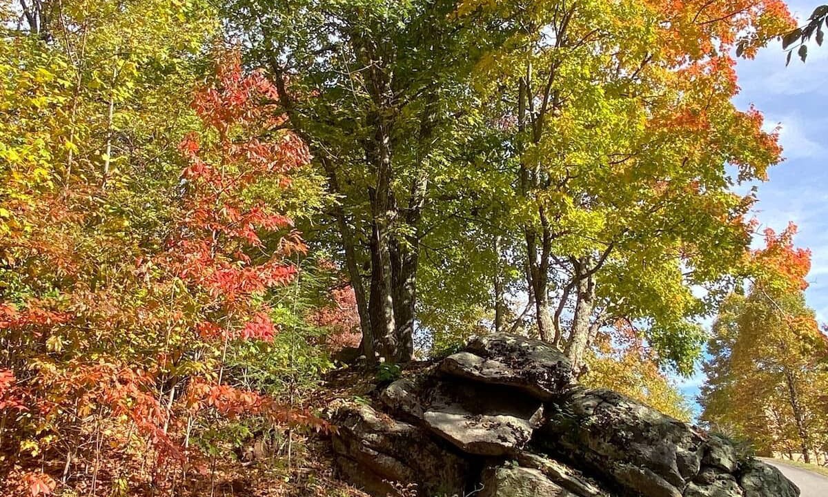 Photo of Outdoor in Elk Park