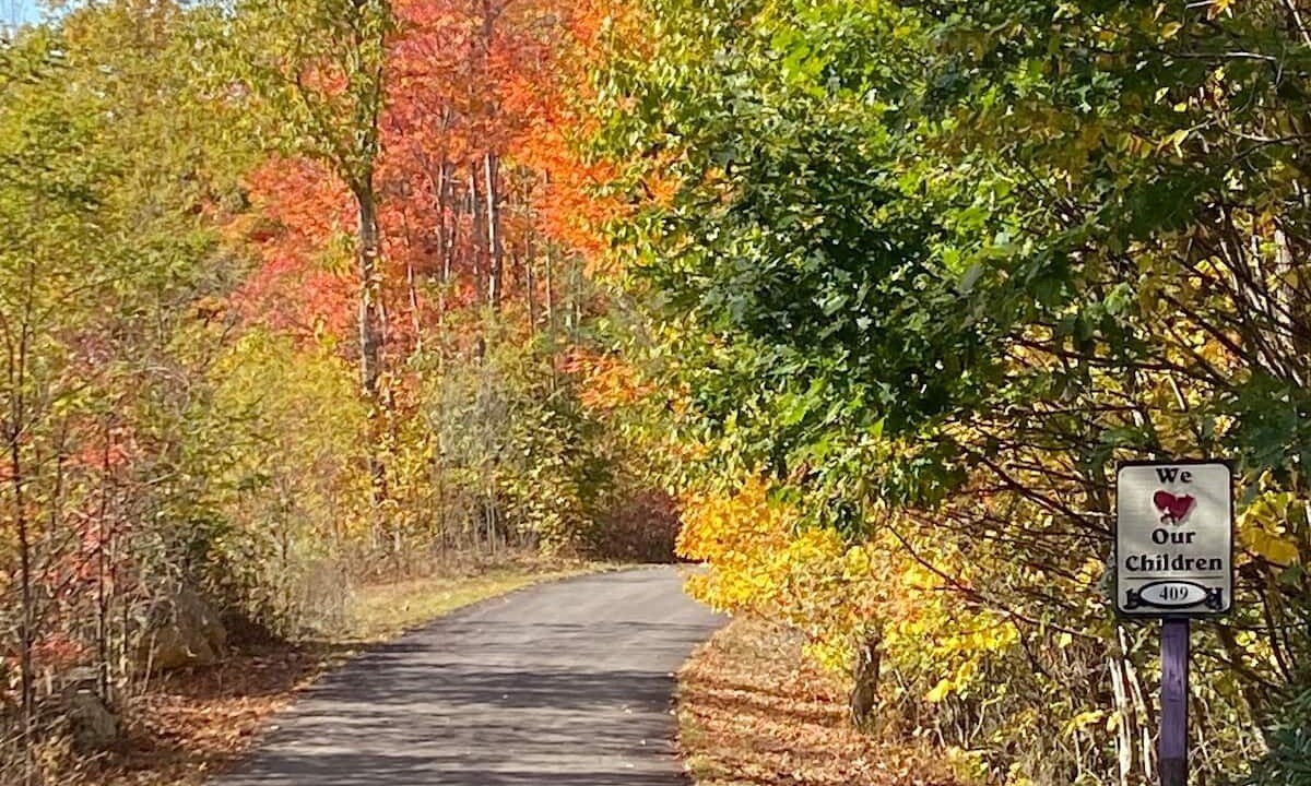 Photo of Outdoor in Elk Park