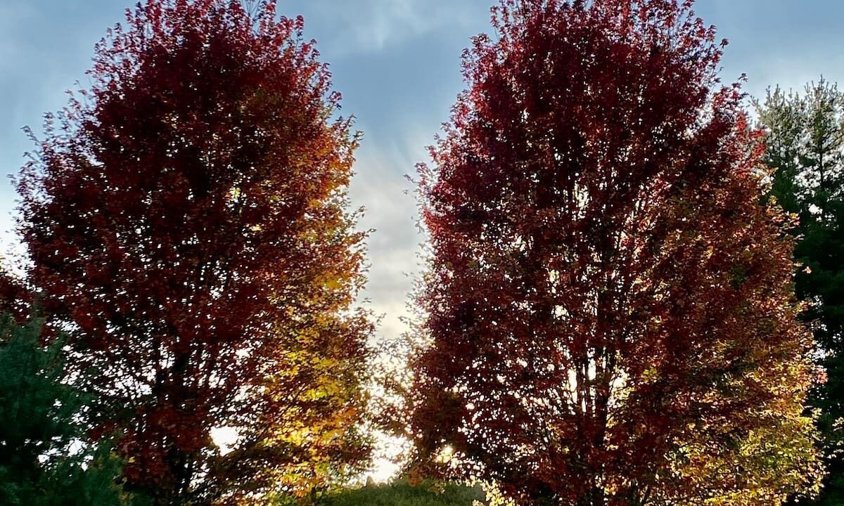 Photo of Outdoor in Elk Park
