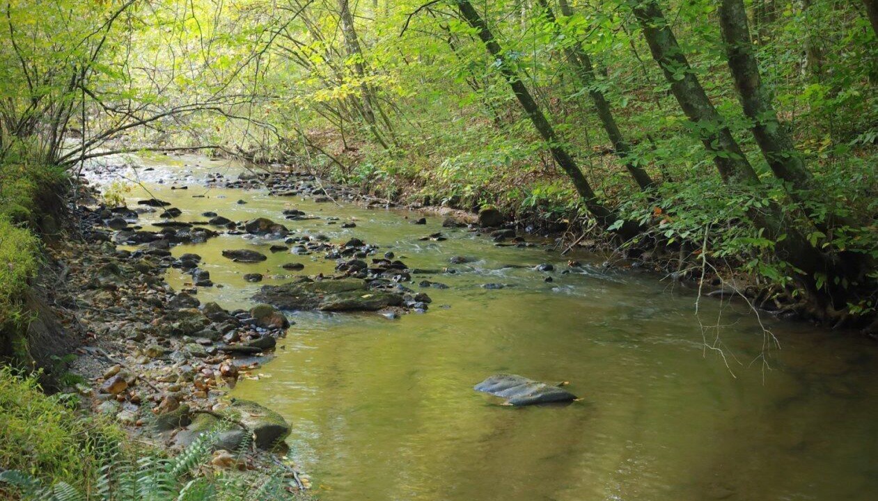 Photo of Others in Pine Creek