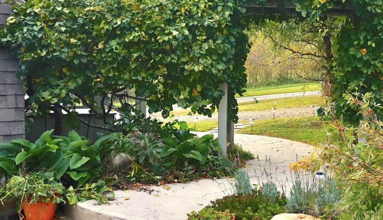 Photo of Outdoor in Pine Creek