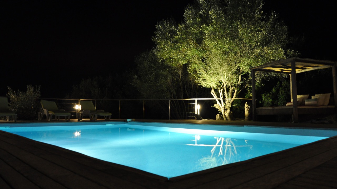 Photo of Outdoor in Olmeto