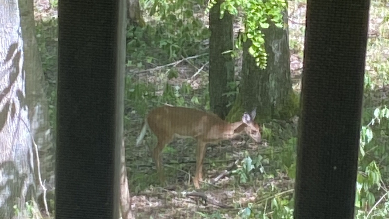 Photo of Others in Elk Park