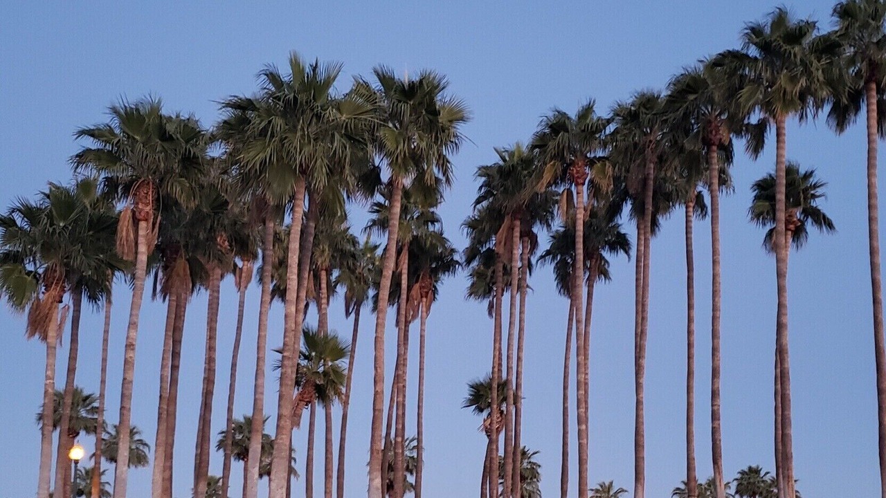 Photo of Outdoor in Estrella Mountain Ranch
