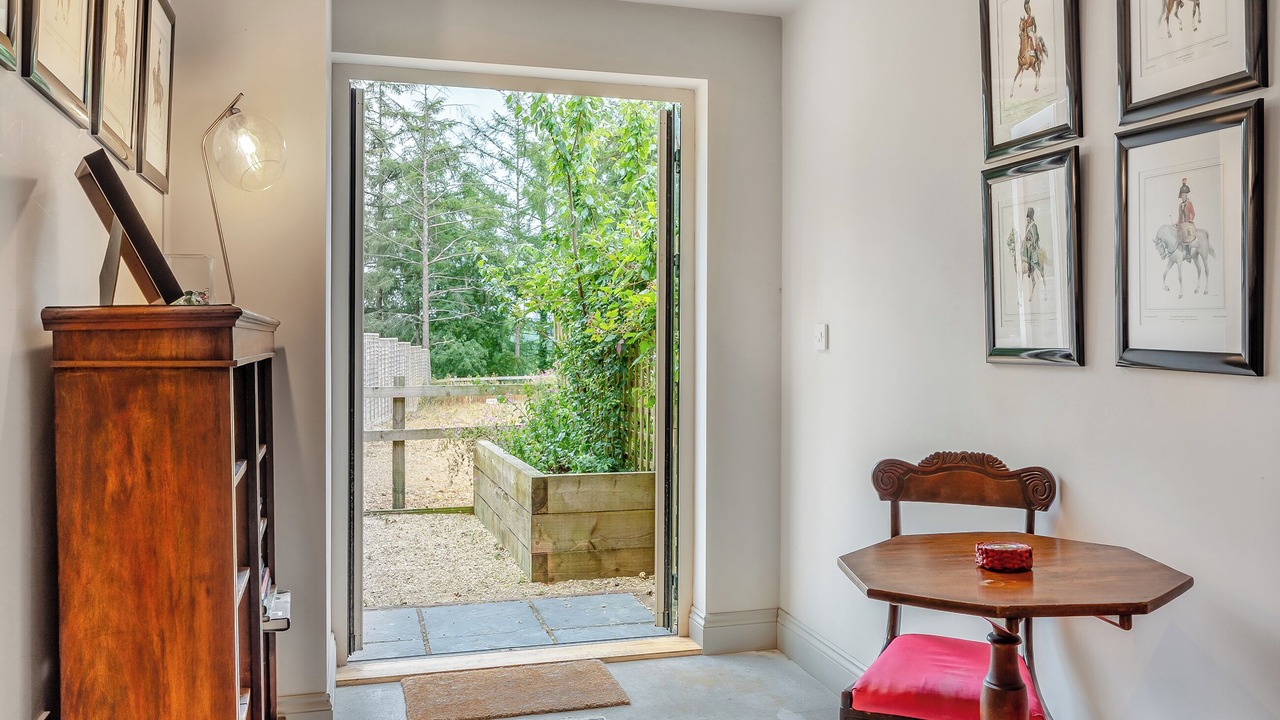 Photo of Others in New Forest District