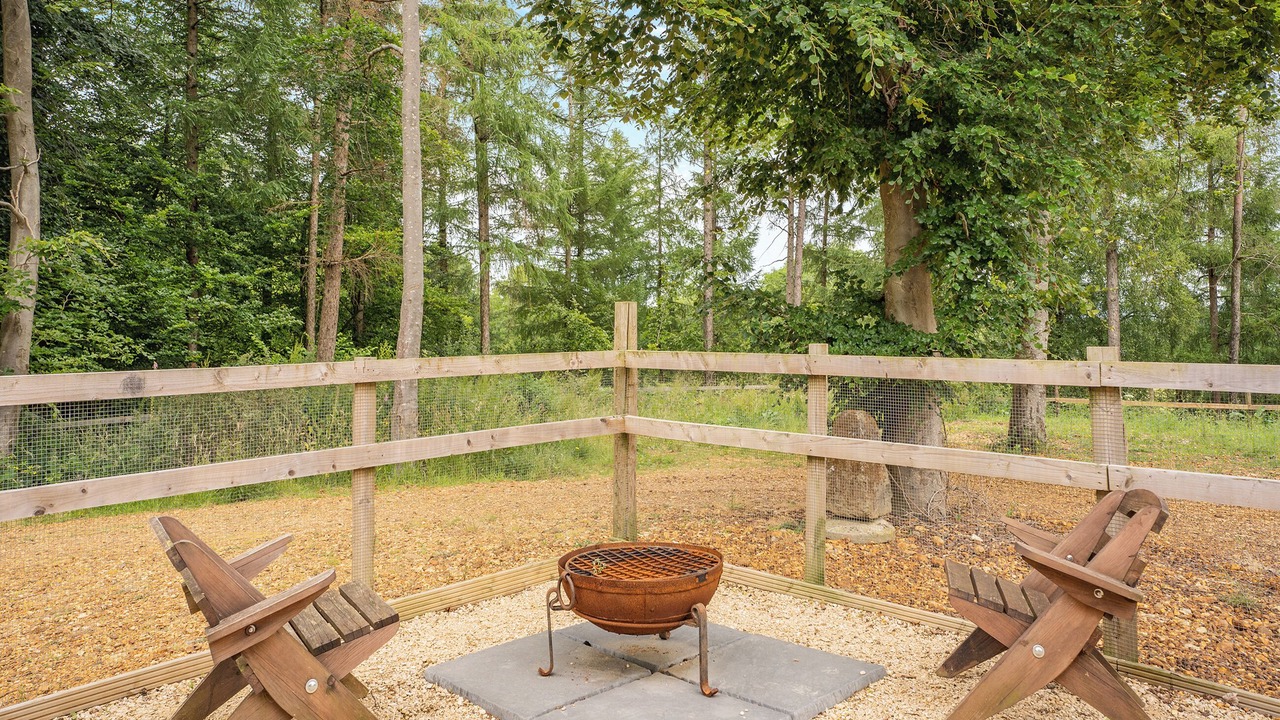 Photo of Others in New Forest District