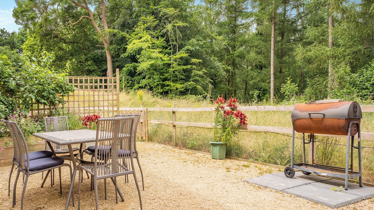 Photo of Others in New Forest District