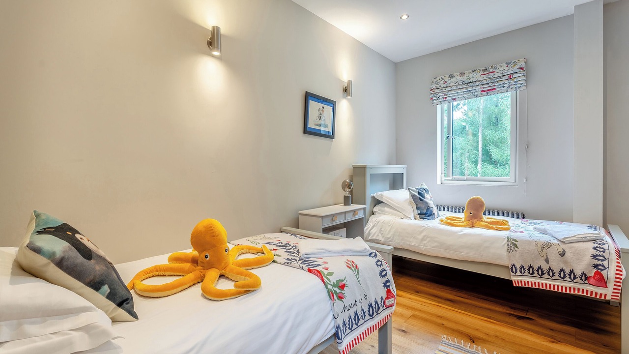 Photo of Others in New Forest District