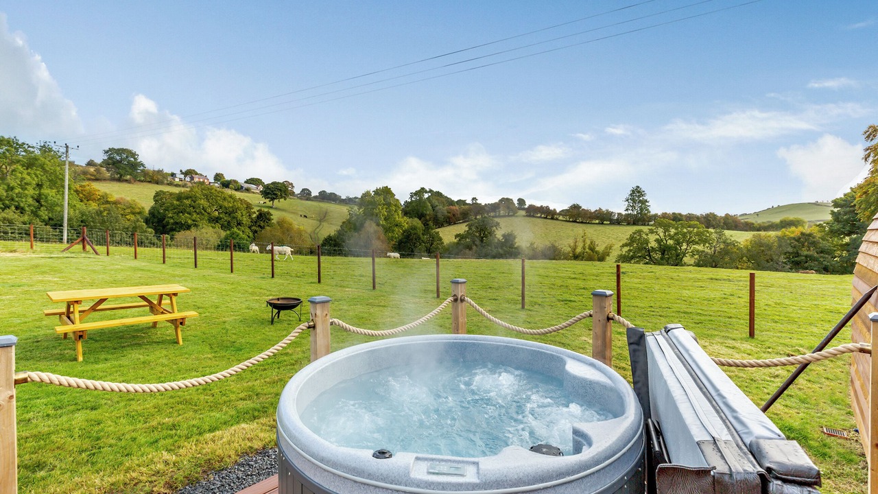 Photo of Others in Welshpool