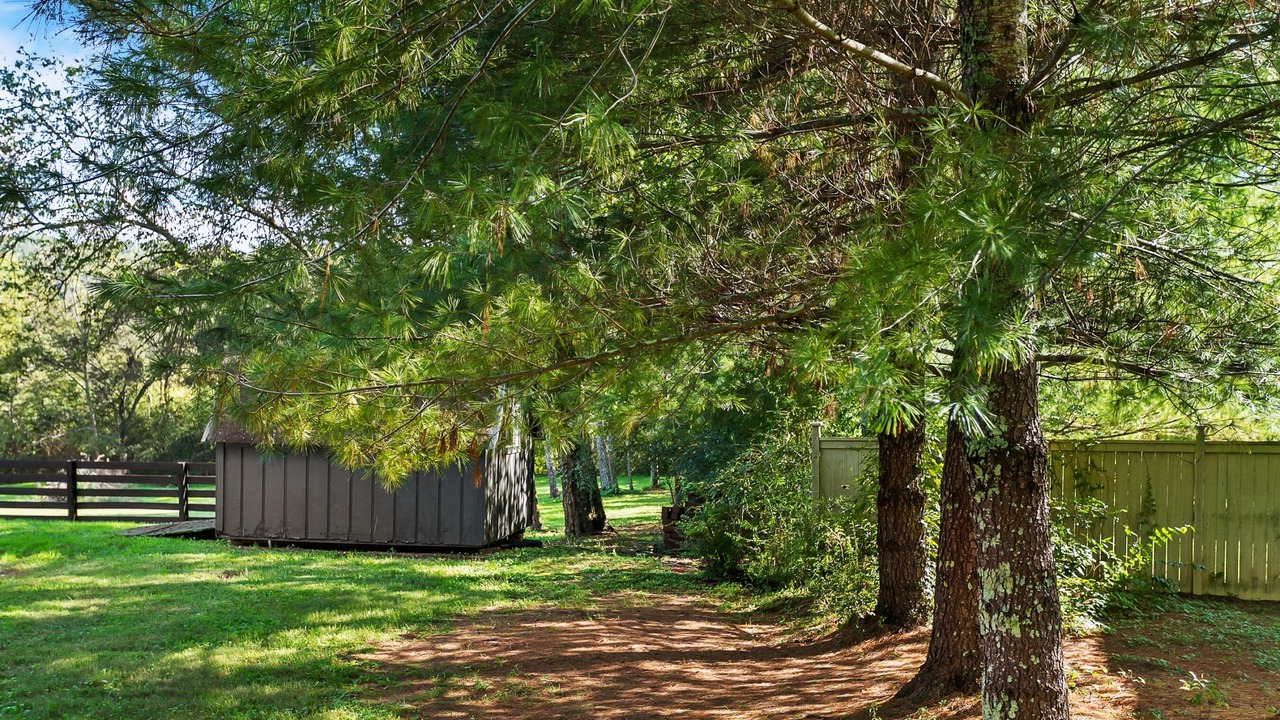 Photo of Outdoor in Leipers Fork