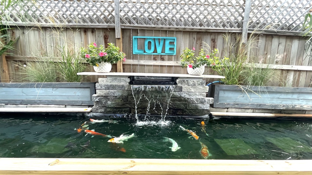 Photo of Others in North San Antonio - SAT