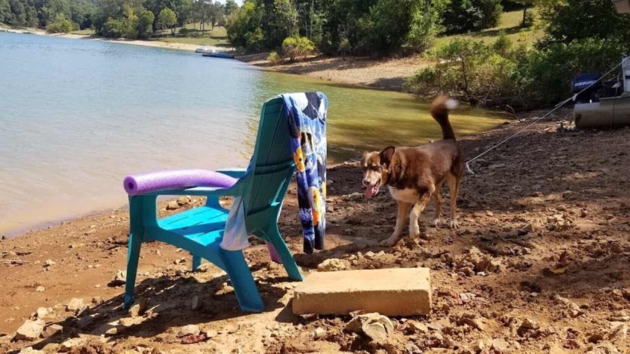 Photo of Others in Hamblen County