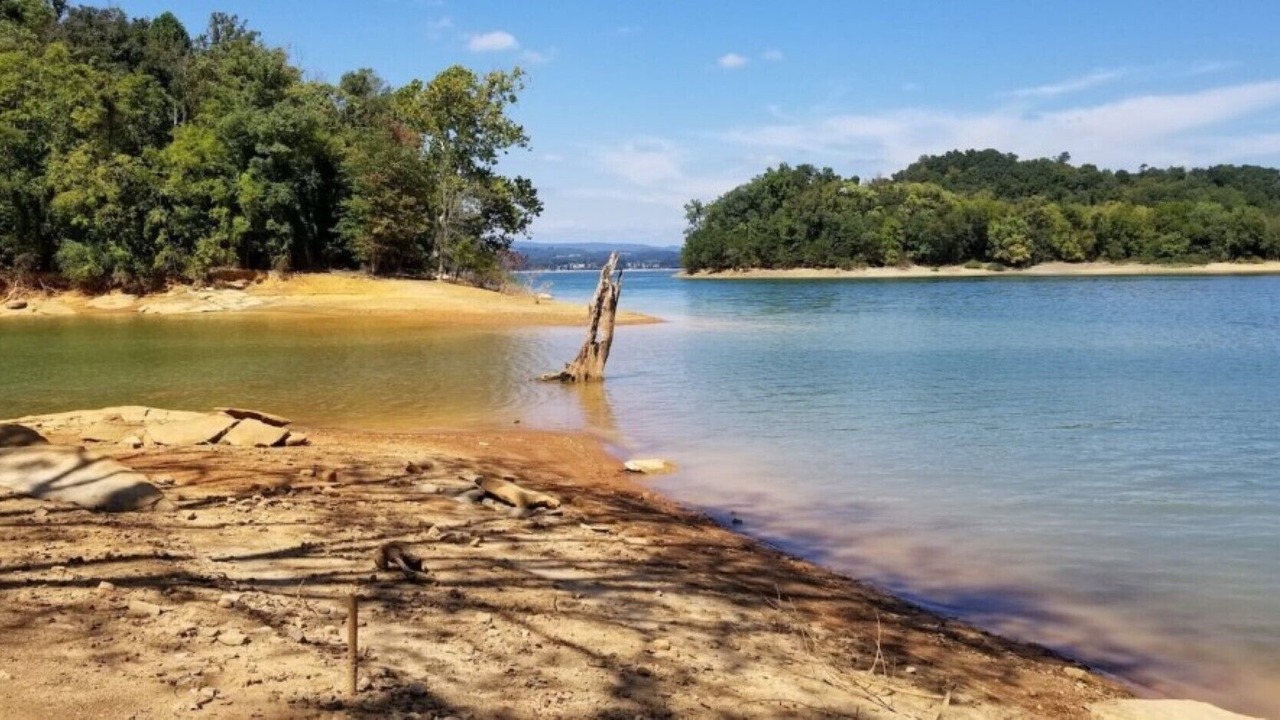 Photo of Others in Hamblen County