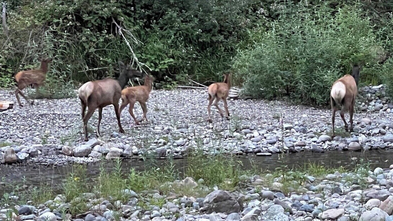 Photo of Outdoor in Hobart