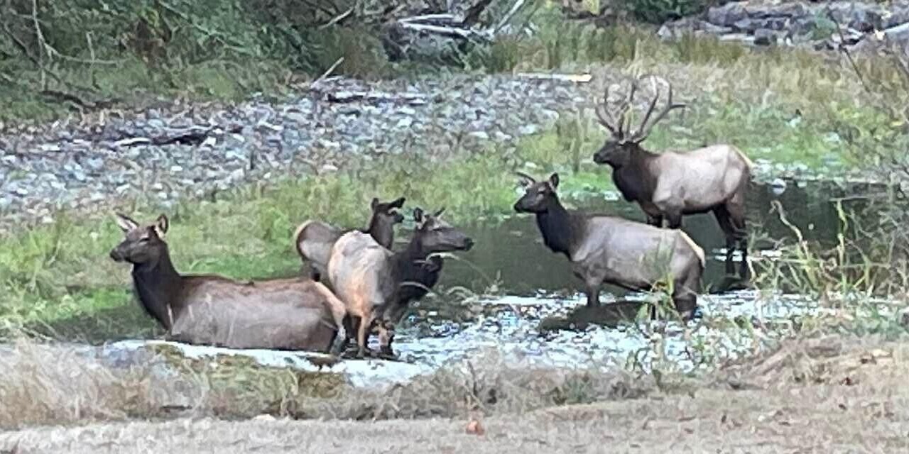 Photo of Others in Hobart