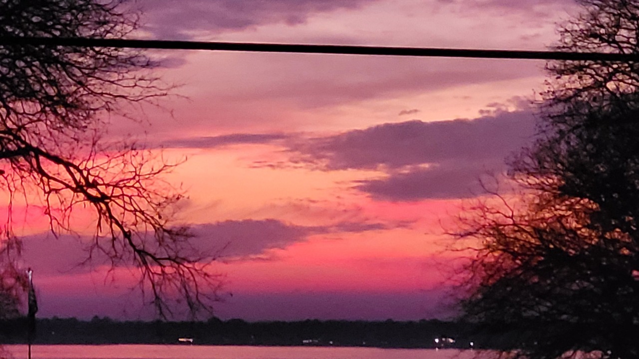 Photo of Outdoor in Carolyn Estates