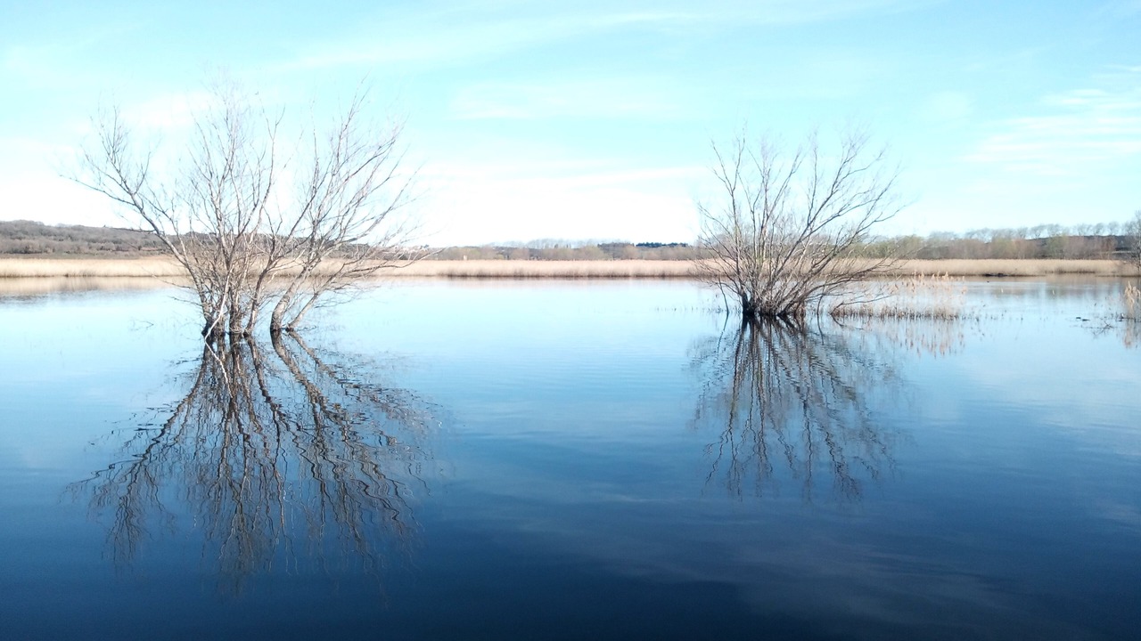 Photo of Outdoor in Garrigues-Sainte-Eulalie