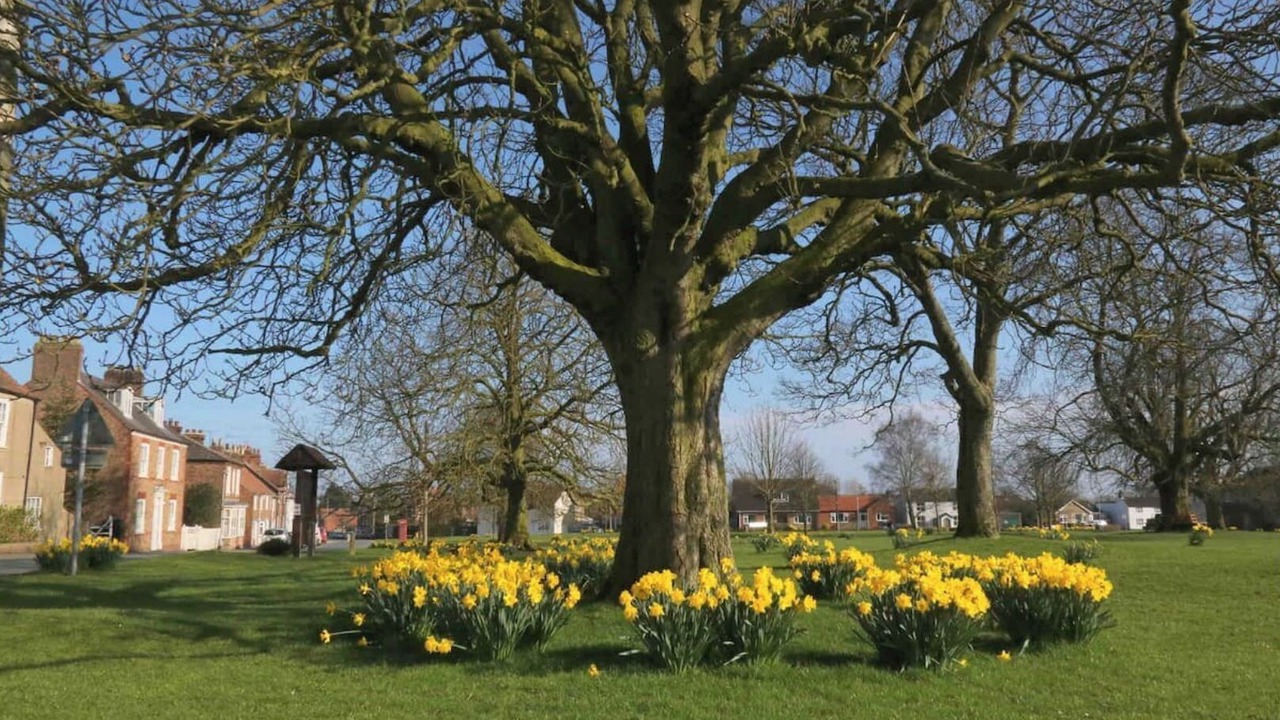 Photo of Outdoor in Cranswick
